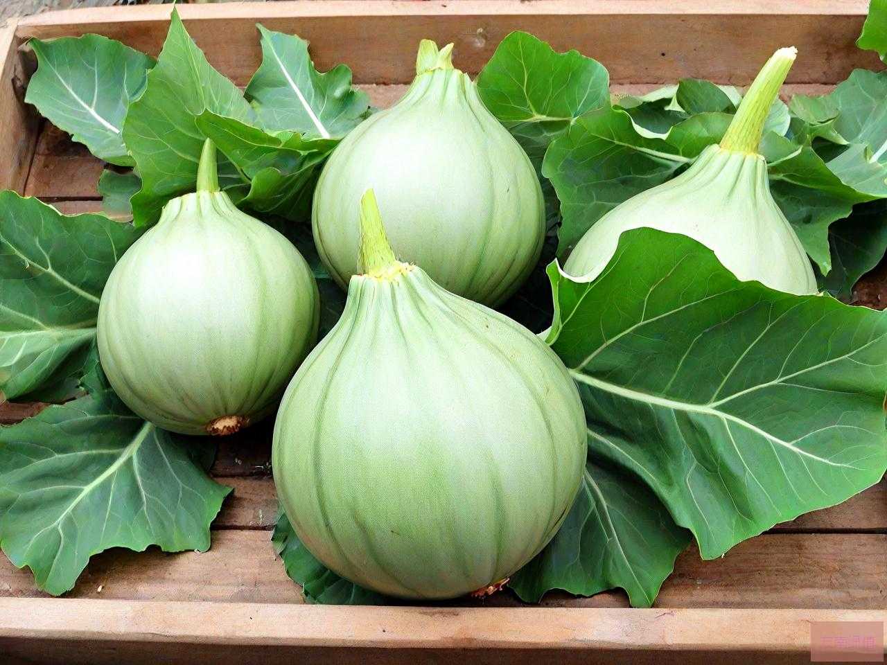 魔芋的价格是多少钱一斤