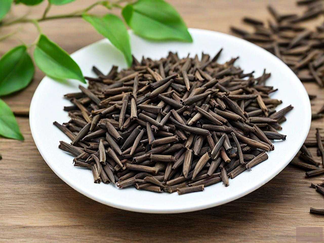沉香树种子多少钱一斤