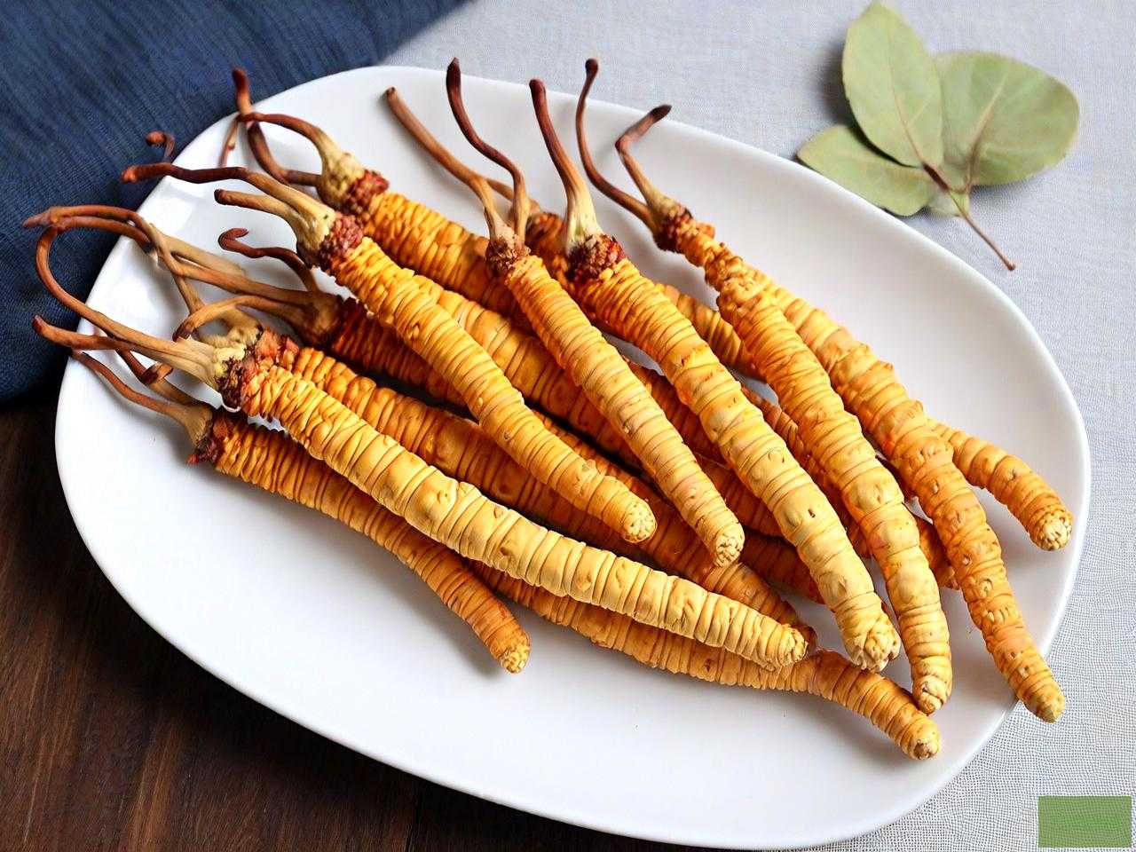 虫草花的食用方法与效果