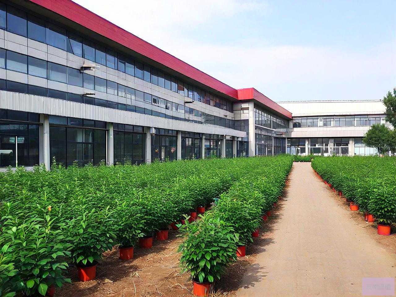 沈阳苗木批发市场在哪