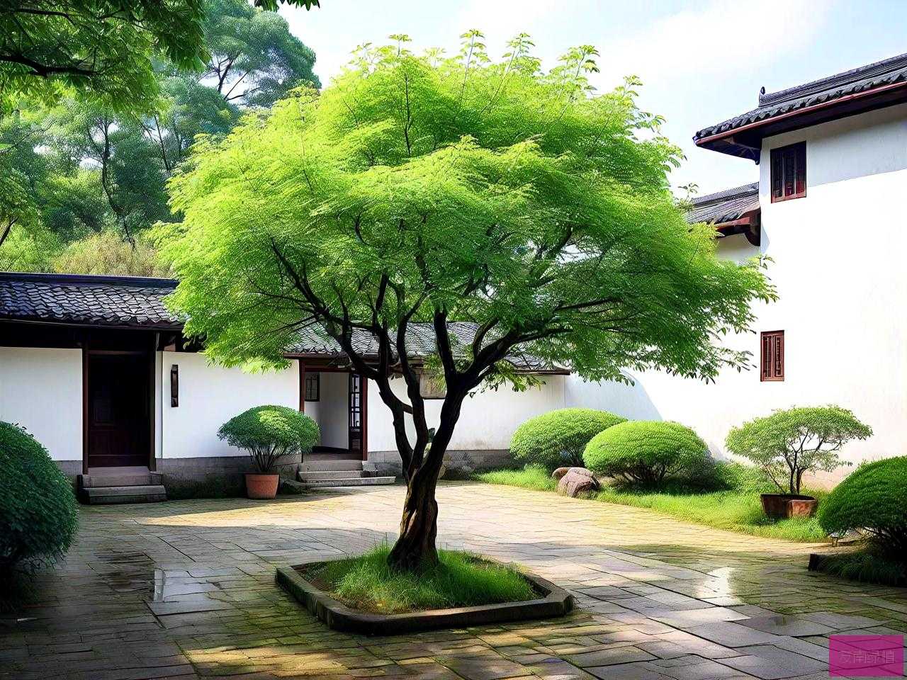 江西庭院适合种什么树