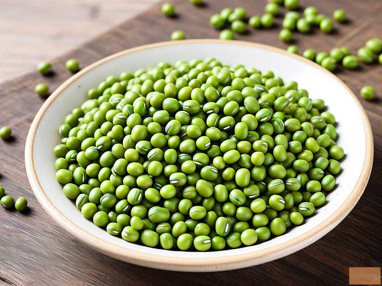 绿豆种子价格多少钱一斤
