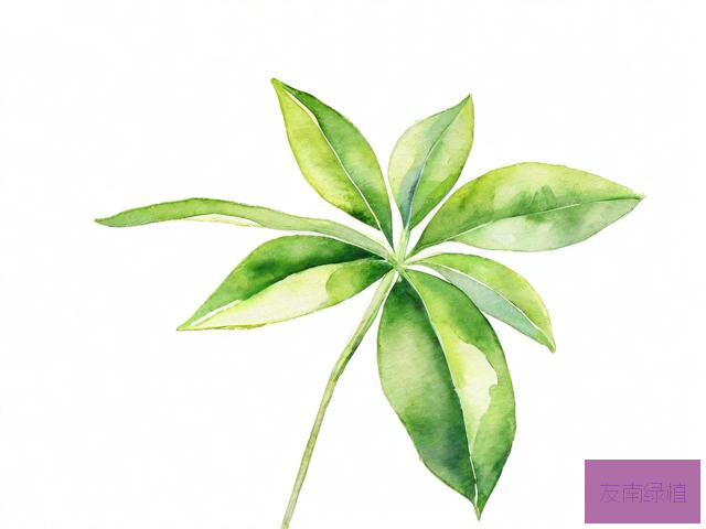 植物是怎么传播的