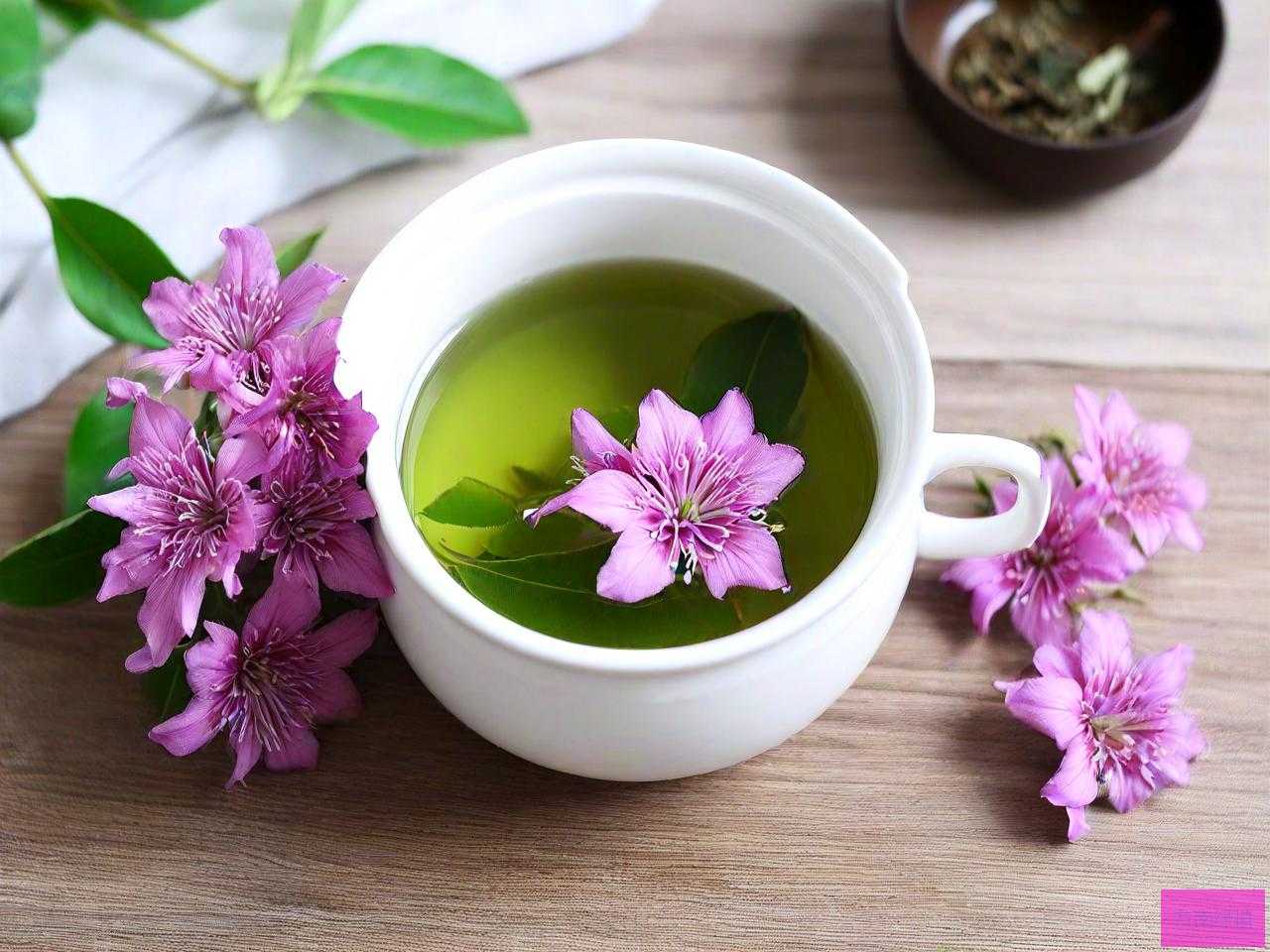 三七花泡水喝有好处吗